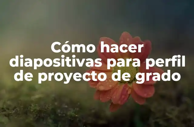 Cómo Hacer Diapositivas para Perfil de Proyecto de Grado