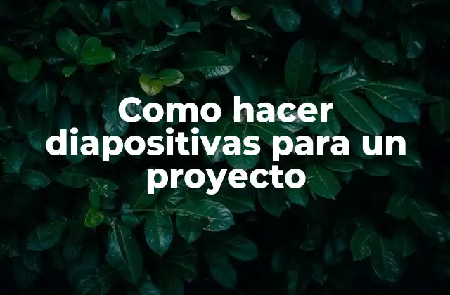 Como Hacer Diapositivas para un Proyecto
