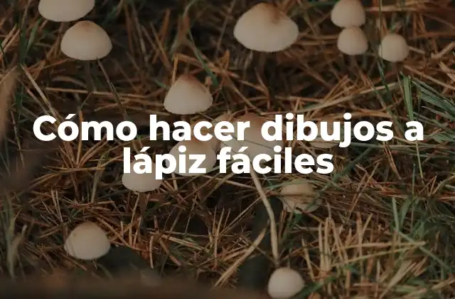 Cómo Hacer Dibujos a Lápiz Fáciles 2 Cómo hacer dibujos a lápiz fáciles