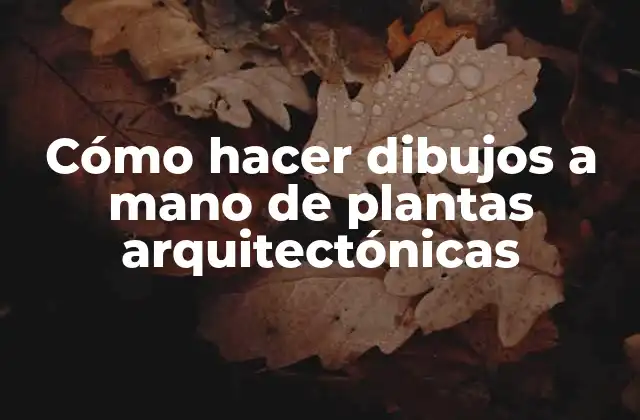 Cómo Hacer Dibujos a Mano de Plantas Arquitectónicas