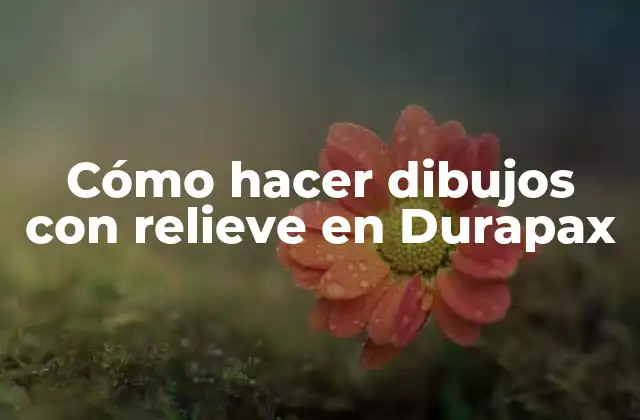 Cómo Hacer Dibujos con Relieve en Durapax
