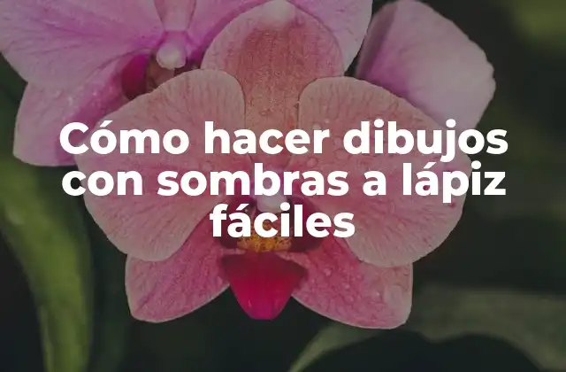 Cómo Hacer Dibujos con Sombras a Lápiz Fáciles