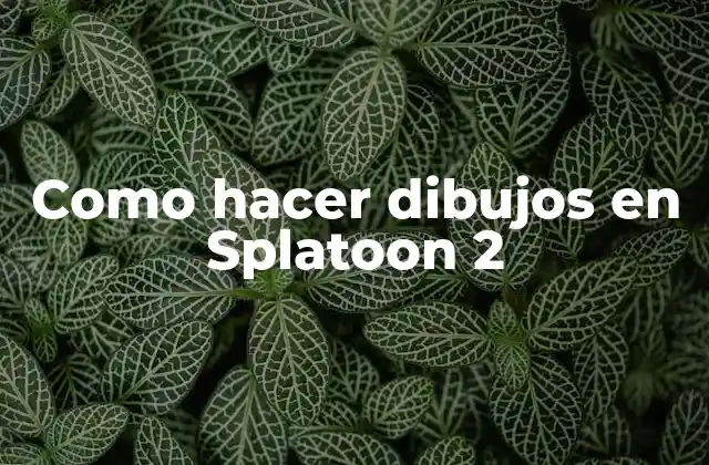 Como Hacer Dibujos en Splatoon 2