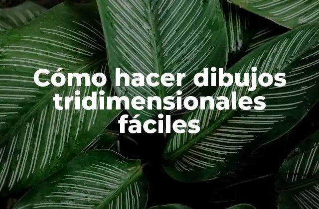 Cómo Hacer Dibujos Tridimensionales Fáciles