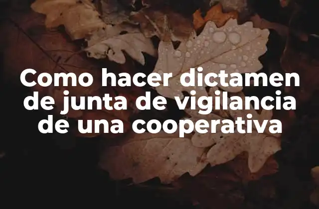 Como Hacer Dictamen de Junta de Vigilancia de una Cooperativa