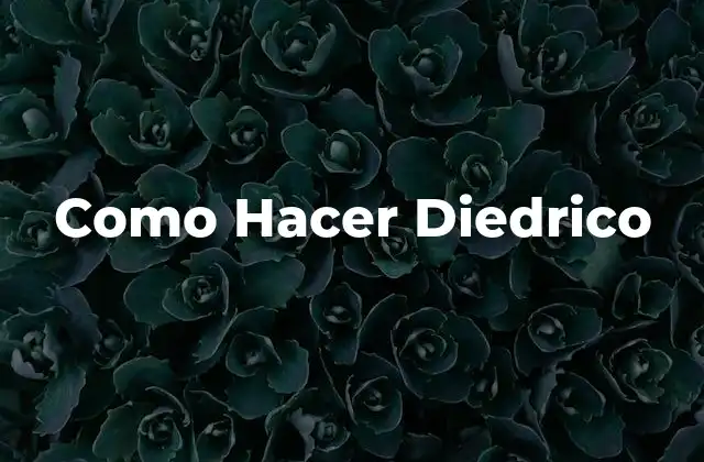 ¿Qué es un Diedrico?