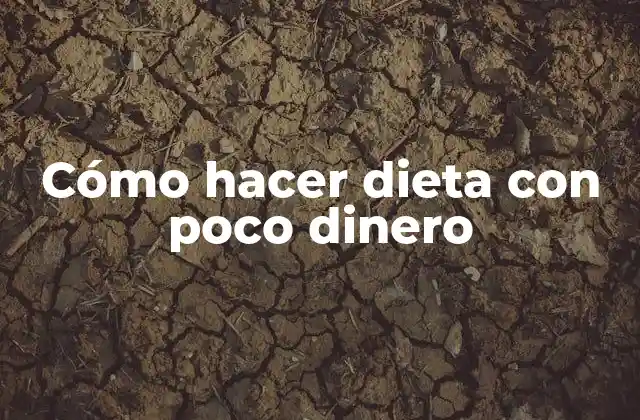 Cómo Hacer Dieta con Poco Dinero