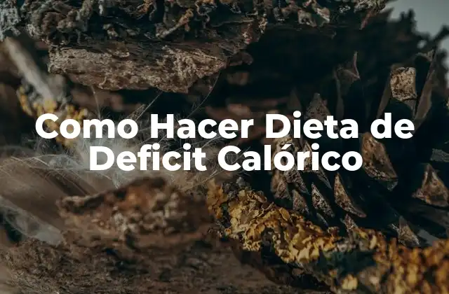 Como Hacer Dieta de Deficit Calórico