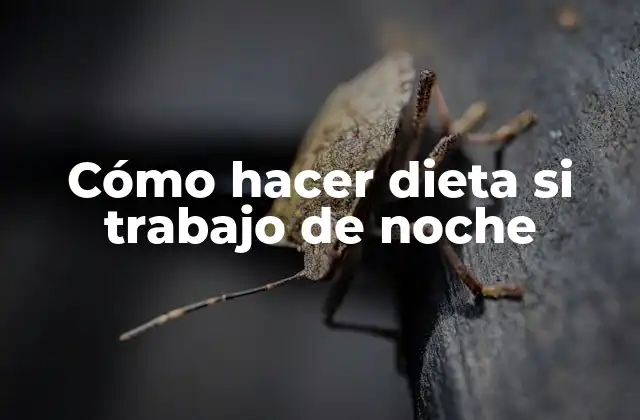 Cómo Hacer Dieta Si Trabajo de Noche