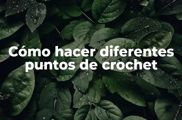 Cómo Hacer Diferentes Puntos de Crochet