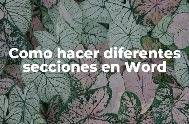 Como Hacer Diferentes Secciones en Word