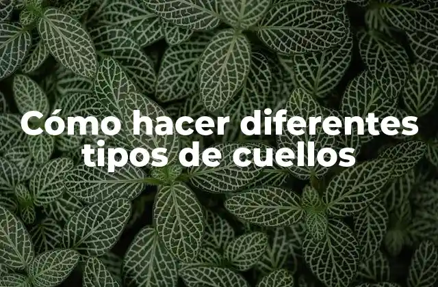 Cómo Hacer Diferentes Tipos de Cuellos
