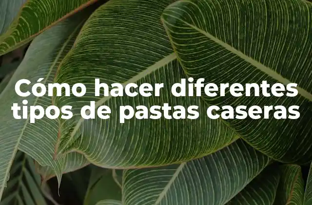 ¿Qué es la pasta casera?