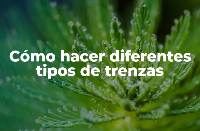 Cómo Hacer Diferentes Tipos de Trenzas