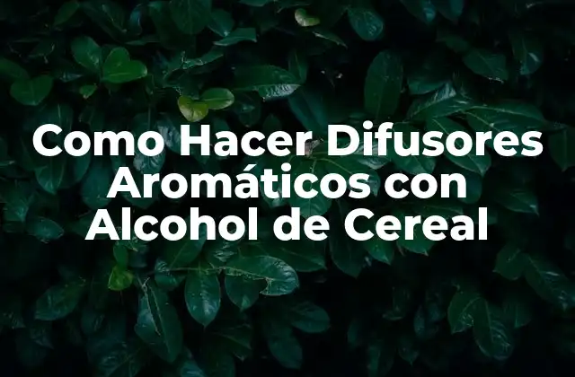 Como Hacer Difusores Aromáticos con Alcohol de Cereal