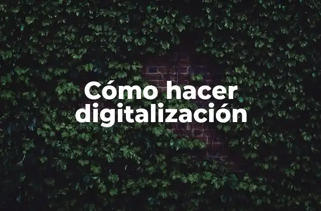 Cómo Hacer Digitalización