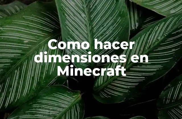 Como Hacer Dimensiones en Minecraft