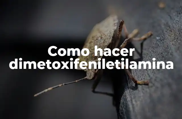 Como Hacer Dimetoxifeniletilamina