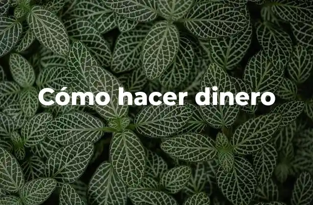 Cómo Hacer Dinero 2 Cómo hacer dinero