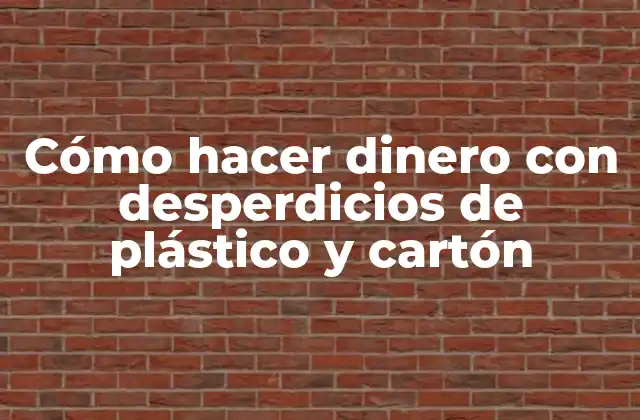 Cómo Hacer Dinero con Desperdicios de Plástico y Cartón