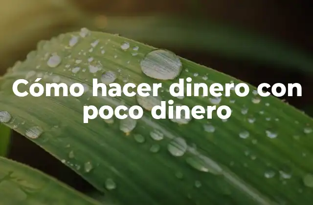 Cómo Hacer Dinero con Poco Dinero