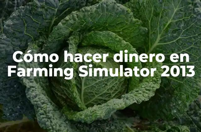 Cómo Hacer Dinero en Farming Simulator 2013
