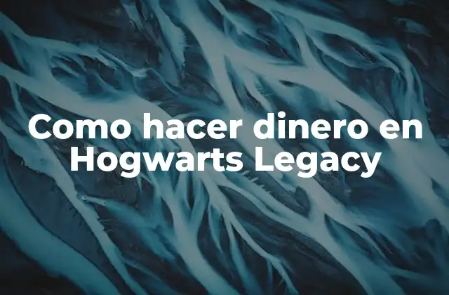 Como Hacer Dinero en Hogwarts Legacy