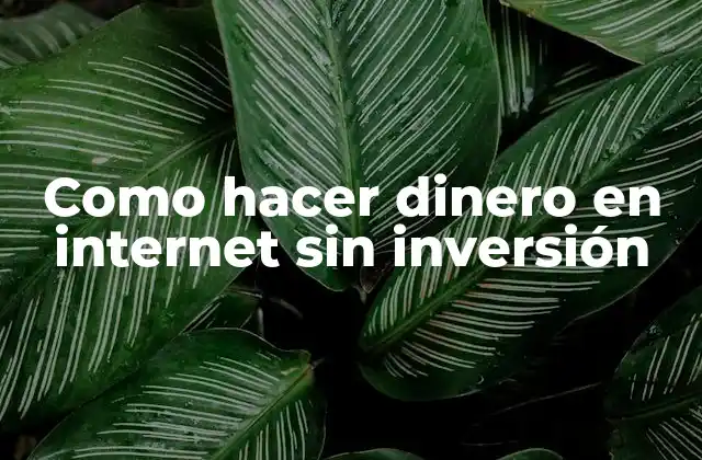 Como Hacer Dinero en Internet sin Inversión
