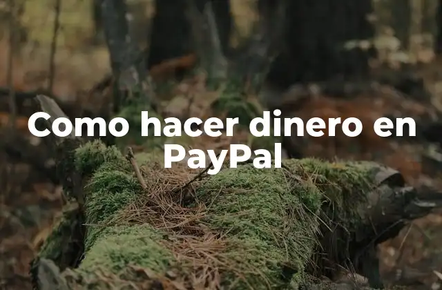 Como Hacer Dinero en Paypal
