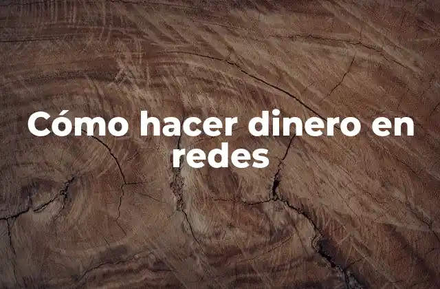 Cómo Hacer Dinero en Redes 2 Cómo hacer dinero en redes