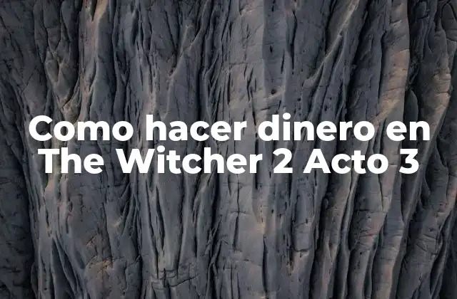 Como Hacer Dinero en The Witcher 2 Acto 3