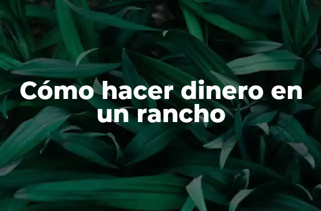 Cómo Hacer Dinero en un Rancho