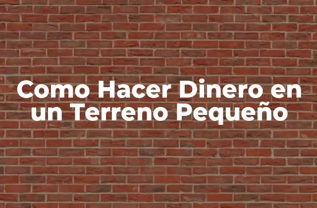 Como Hacer Dinero en un Terreno Pequeño