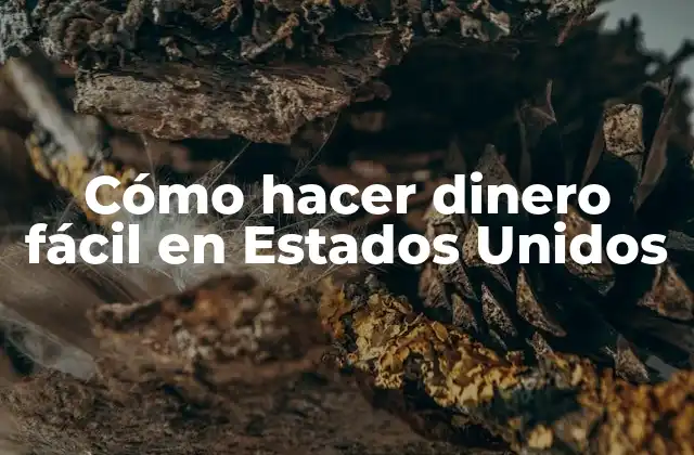 Cómo Hacer Dinero Fácil en Estados Unidos