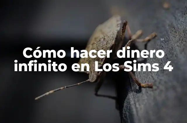 Cómo Hacer Dinero Infinito en los Sims 4
