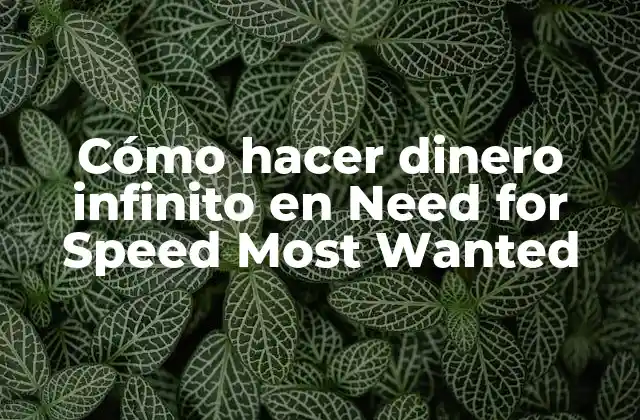 Cómo Hacer Dinero Infinito en Need For Speed Most Wanted