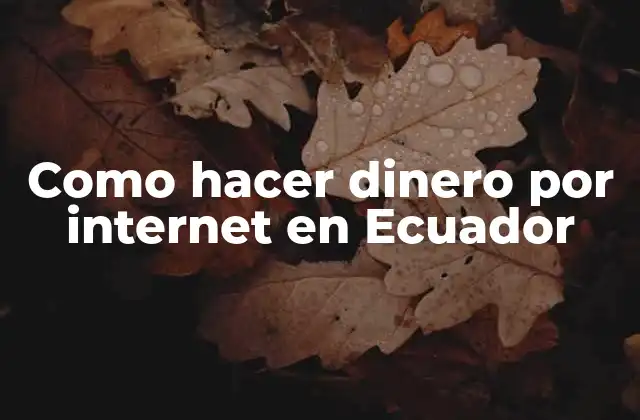 Como Hacer Dinero por Internet en Ecuador
