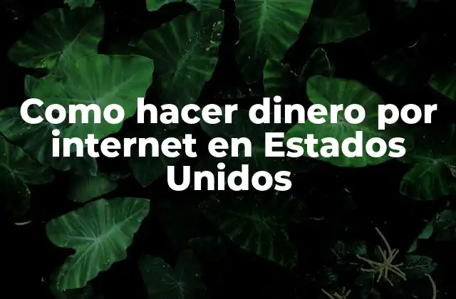 Como Hacer Dinero por Internet en Estados Unidos