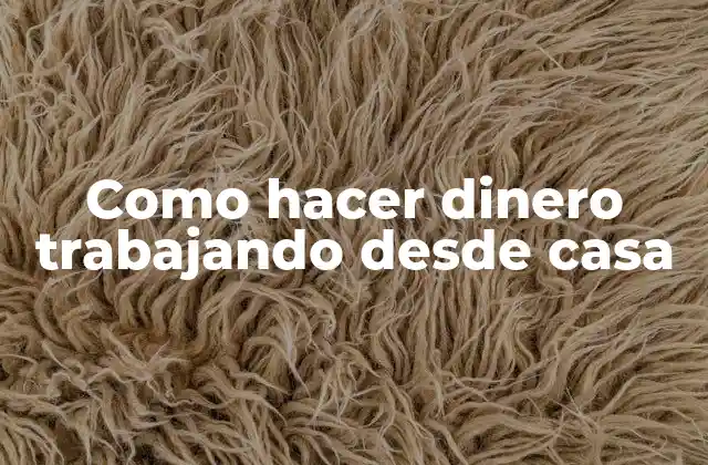 Como Hacer Dinero Trabajando desde Casa