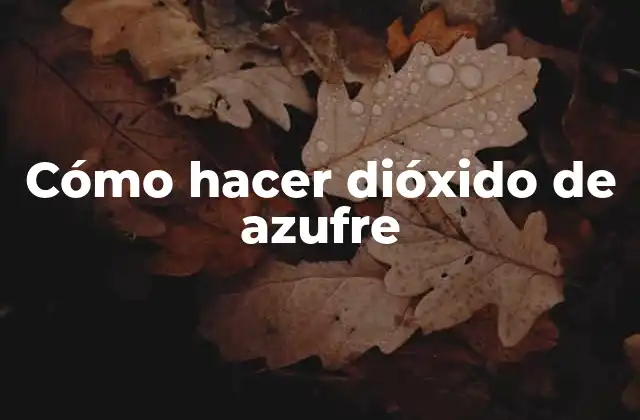 Cómo Hacer Dióxido de Azufre