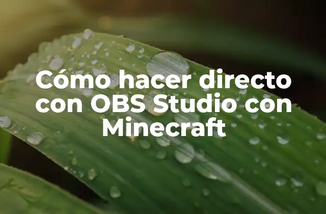 Cómo Hacer Directo con Obs Studio con Minecraft