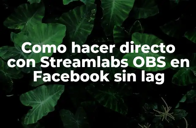 Como Hacer Directo con Streamlabs Obs en Facebook sin Lag 2 ¿Qué es Streamlabs OBS y cómo se utiliza para transmitir en vivo en Facebook?