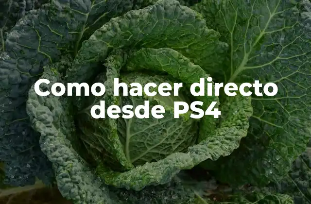 Como Hacer Directo desde Ps4