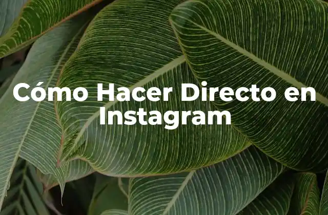 Cómo Hacer Directo en Instagram