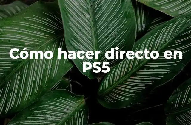 Cómo Hacer Directo en Ps5