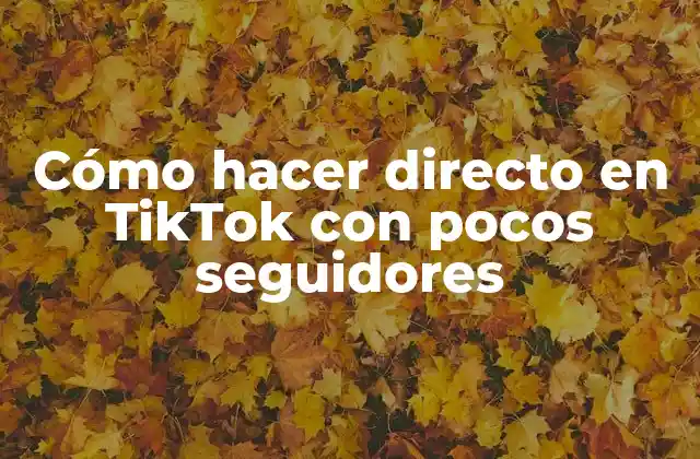 Cómo hacer directo en TikTok con pocos seguidores
