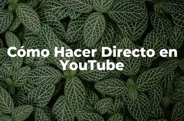 Cómo Hacer Directo en YouTube