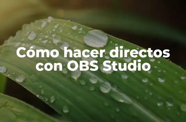 Cómo Hacer Directos con Obs Studio