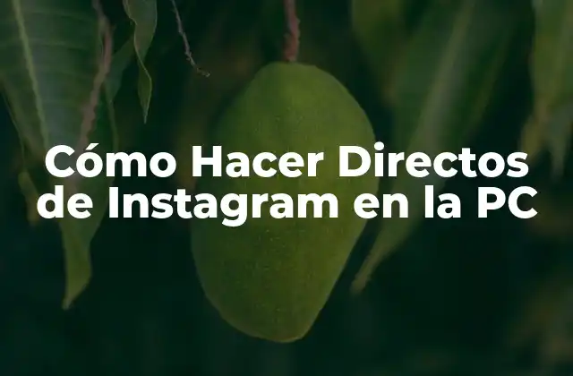 Cómo Hacer Directos de Instagram en la Pc 2 Cómo Hacer Directos de Instagram en la PC