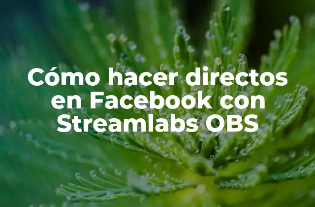 Cómo Hacer Directos en Facebook con Streamlabs Obs